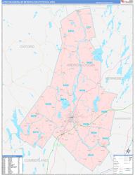 Lewiston-Auburn ColorCast Wall Map